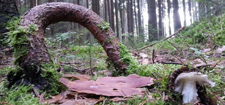 Sorbische Herbstwanderung