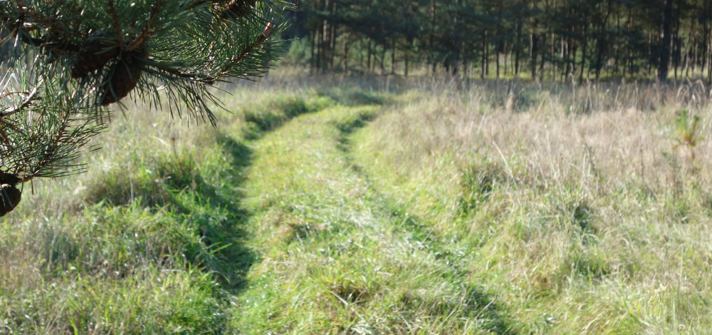 Sorbische Sommerwanderung