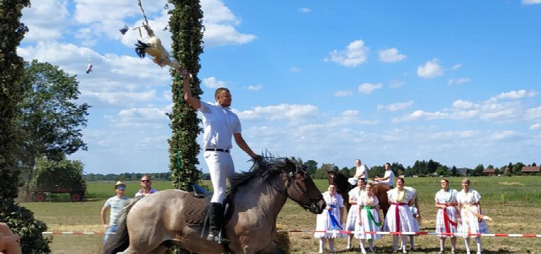 Traditionelles Hahnrupfen Werben